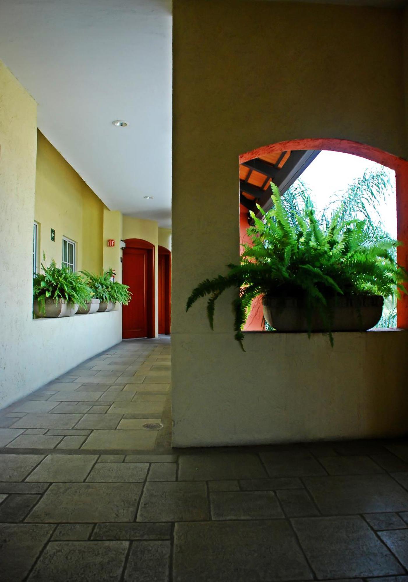 Aurea Hotel And Suites Zapopan Eksteriør bilde